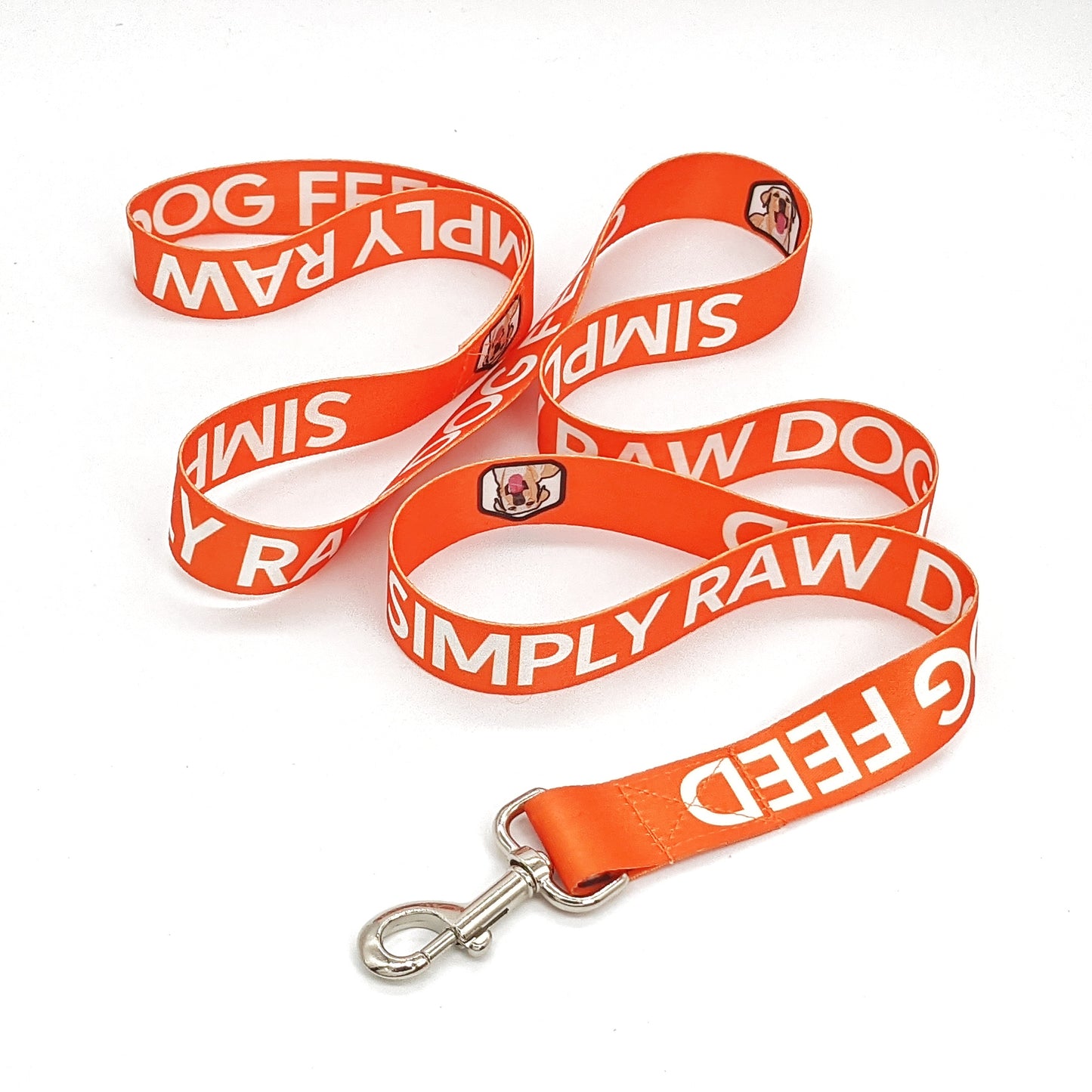 Simply Raw Dog Leash