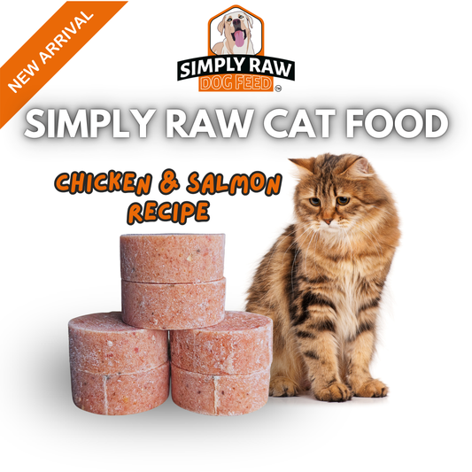 Simply Cat Chicken & Salmon