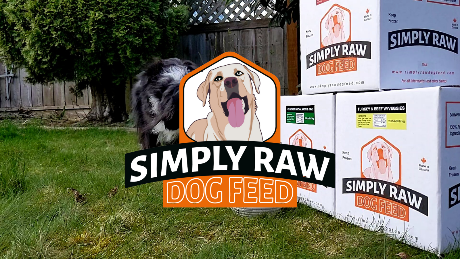 Dog food sales plants near me