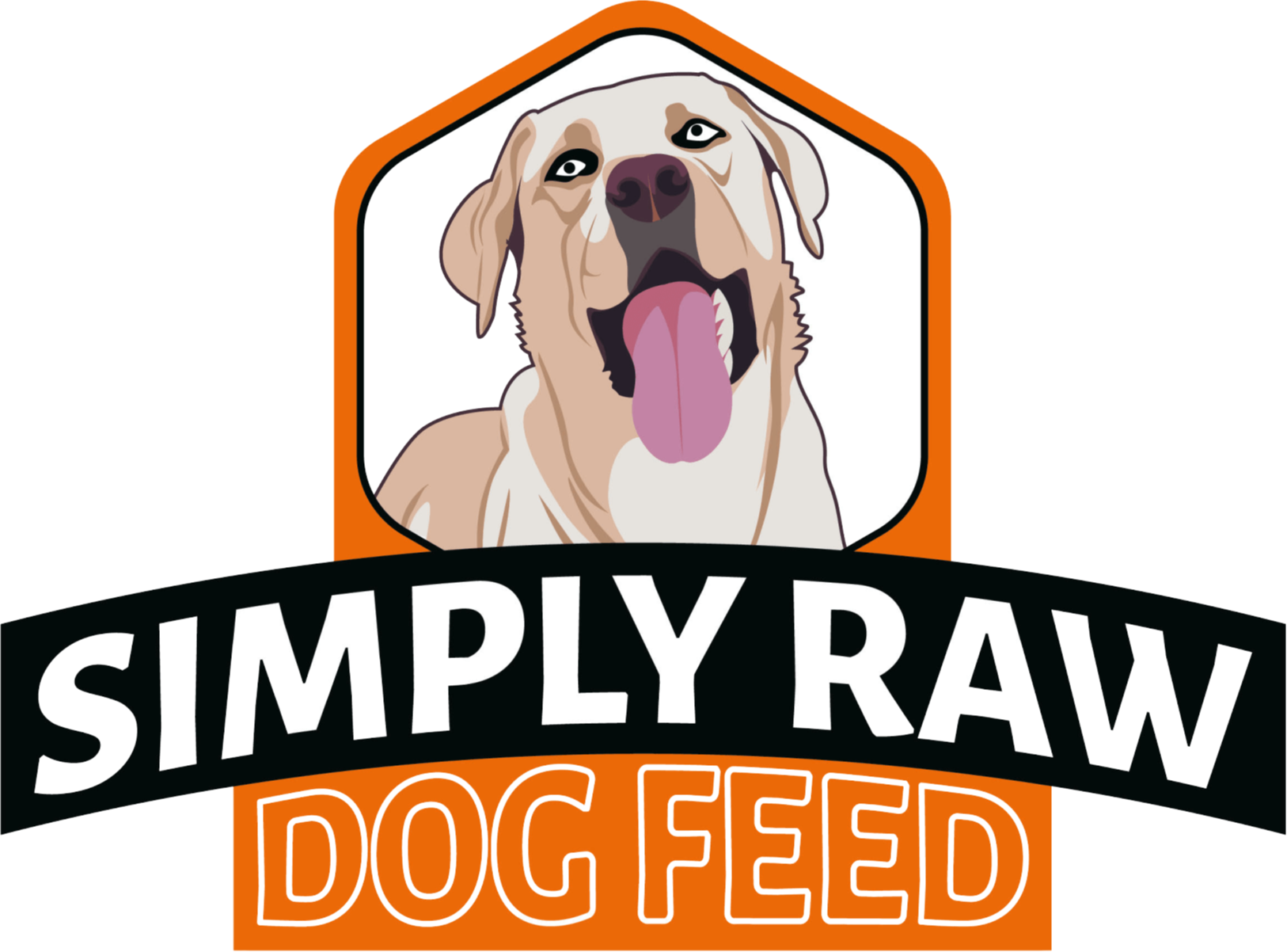 Best raw dog food delivery outlet service